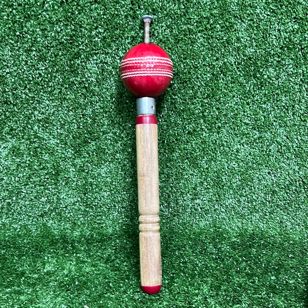 Raydn Revolution Ball for Fast Bowlers and Spinners