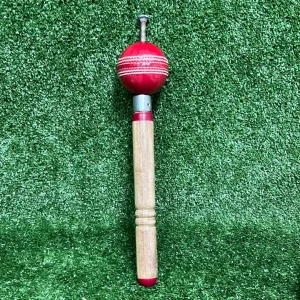 Raydn Revolution Ball for Fast Bowlers and Spinners