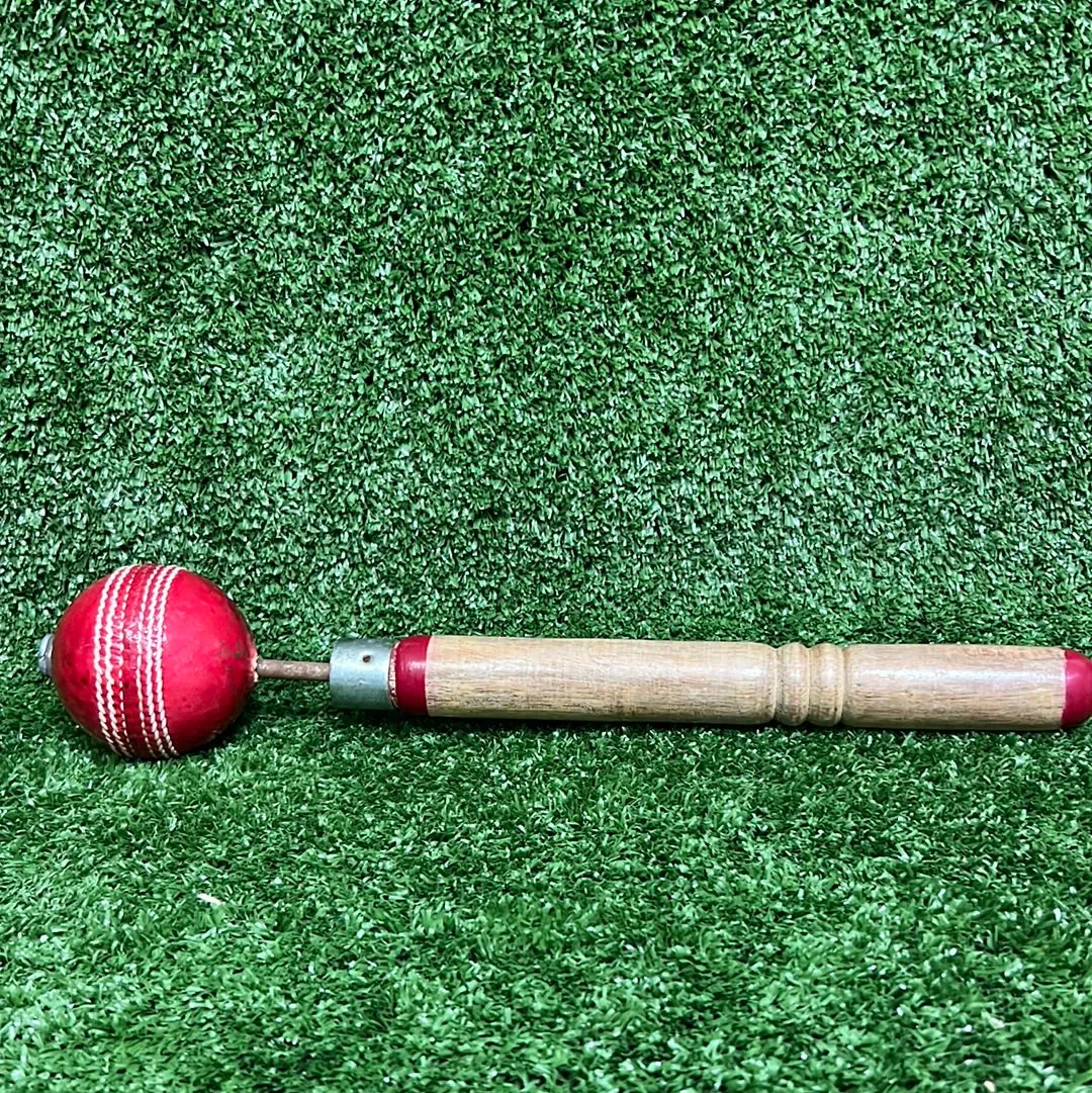 Raydn Revolution Ball for Fast Bowlers and Spinners
