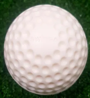 Swinga Ball White