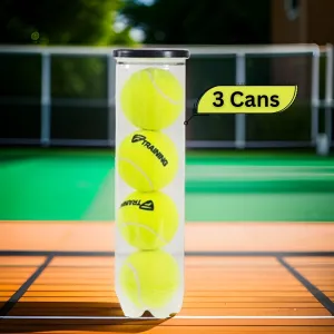 Tecnifibre Training Tennis Balls Dozen (3 Cans)