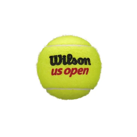 US OPEN XD TBALL 3 BALL CAN